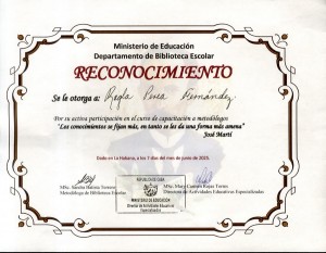 Curso capacitacion metodologos-Regla