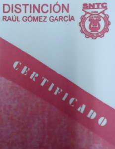 Distincion Raul Gomez Garcia