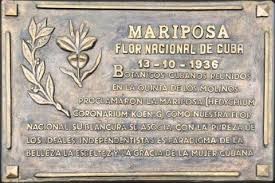 mariposa 1