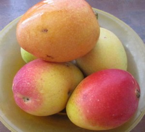 Mangos