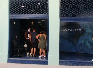 Entrada alAquarium