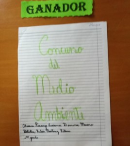 Ganadora Pintura