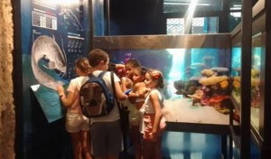 Aquarium