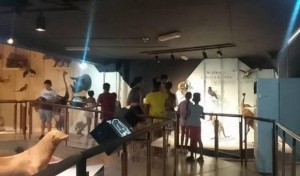 Museo de Historia Natural